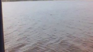 отрывок ловли на вставку мушек с поплавочной удочкой