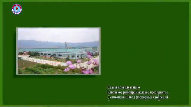 С Новым годом из Северной Кореи! (Голос Кореи) смотреть онлайн