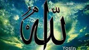 Хоб будам хоб дидам мурдаам