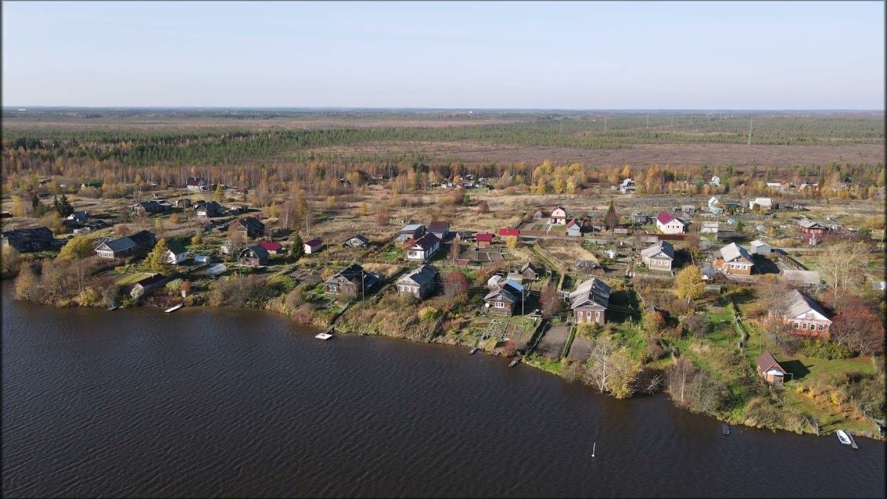 Шижня
