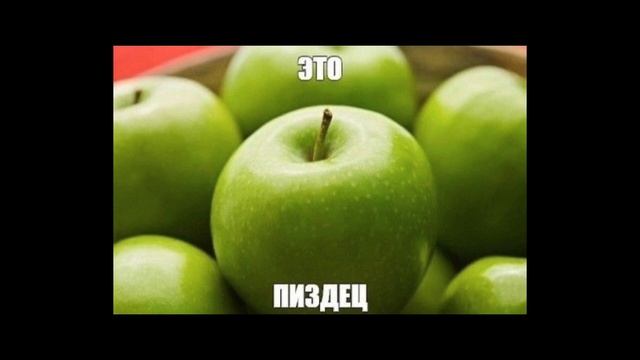 101 ФАКТ ПРО PECKIN8 1 ЧАСТЬ смотреть онлайн