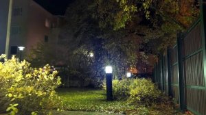 Подсветка деревьев .