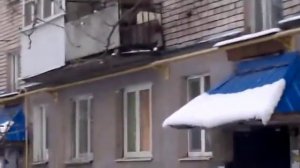 Кидает Коктейли Молотова в машины Великие Луки 01.12.2016