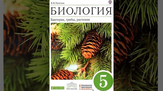 Биология 5 класс. Бактерии, грибы, растения. Пасечник В.В. Параграф 10.