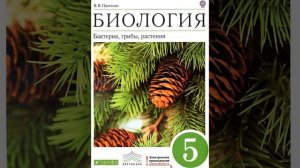 Биология 5 класс. Бактерии, грибы, растения. Пасечник В.В. Параграф 10.