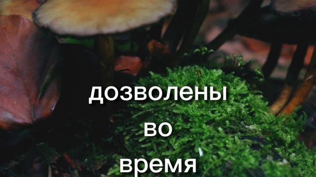ПРИБЛИЖАЕТ МЕСЯЦ РАМАДАН!!! В 2024 ГОДУ РАМАДАН НАЧИНАЕТСЯ В МАРТЕ, ПОСТ ПРОДЛИТСЯ 30 ДНЕЙ!!! смотреть онлайн