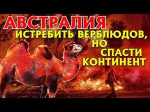 ПОЖАР В АВСТРАЛИИ. ПРИЧИНЫ И СЛЕДСТВИЕ.