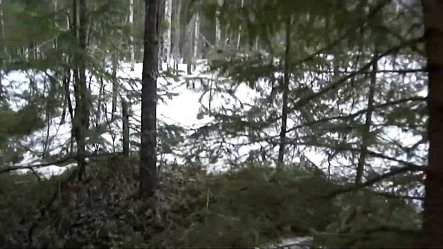 Лирика. ГРОТ - Большая Медведица. смотреть онлайн