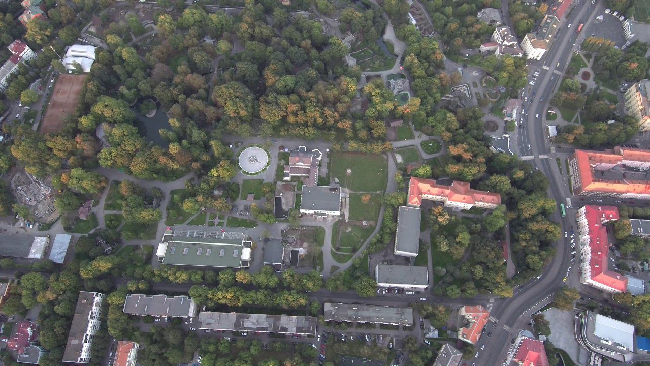 Калининградский Зоопарк смотреть онлайн