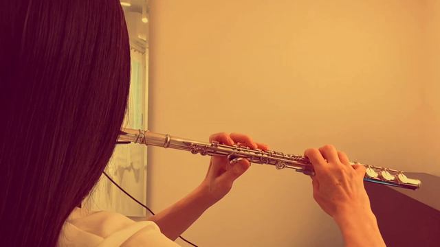 【機動戦士ガンダム0083 STARDUST MEMORY】MEN OF DESTINY/MIO【フルートで演奏してみた】GUNDAM 0083 смотреть онлайн