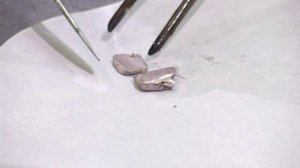 ВЗАИМОДЕЙСТВИЕ СЕРЫ С НАТРИЕМ.ХИМИЯ