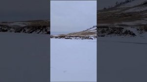 Зимняя рыбалка в Нукутах на р.Заларинка