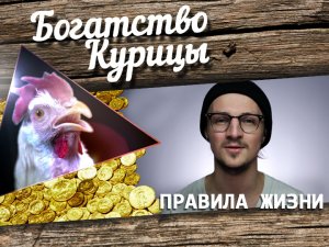 Богатство Курицы: Рок-музыкант vs. Диджей