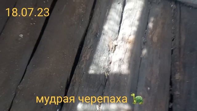 ремонт пола на даче. бюджетный ремонт.