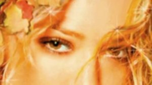 Крик улетавших птиц. гр.Кристина corp.