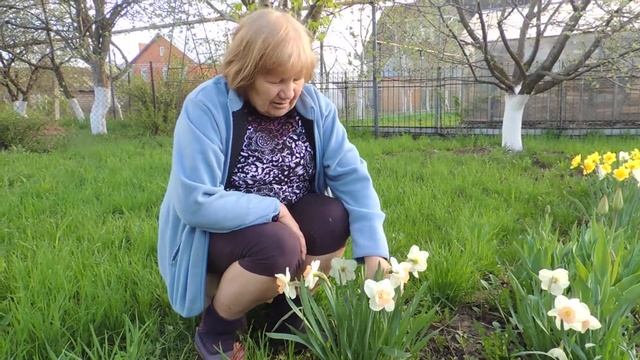 Цветы в саду распустились! смотреть онлайн