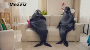 Реклама Мезим Тюлени