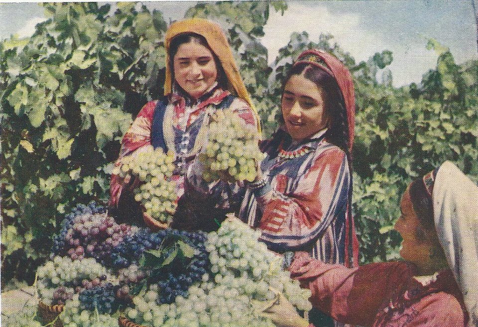 РЕНА ГАЛИБОВА - ДУХТАРИ ПУРҒАЙРАТ смотреть онлайн