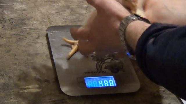 Вес бройлеров Арбор Айкрес в 15 дней смотреть онлайн