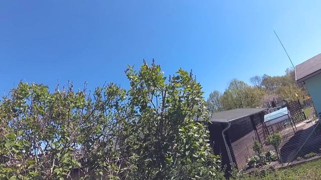 Наводим красоту  Пасхальный понедельник  Наша дача в Германии