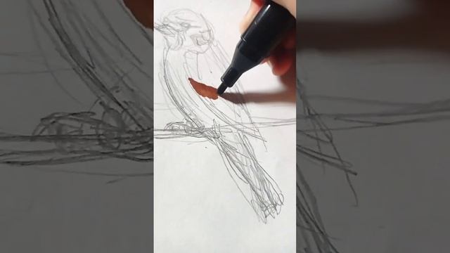 как нарисовать воробья смотреть онлайн