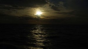 Nikkfurie - The A La Menthe