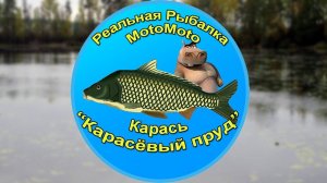 Как поймать Карася на Карасёвом пруду [АРХИВ] | Реальная Рыбалка