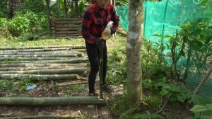 Build Farm Life, How To Building A House Pig With Bamboo, BUILD LOG CABIN / Thanh Chinh Build Life