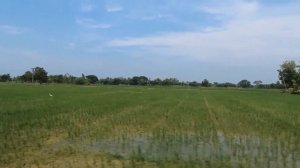 Beautiful Country Side Tour | Village Tour | Thiruvarur | Thanjavur |  - Rice Bowl of TamilNadu ?