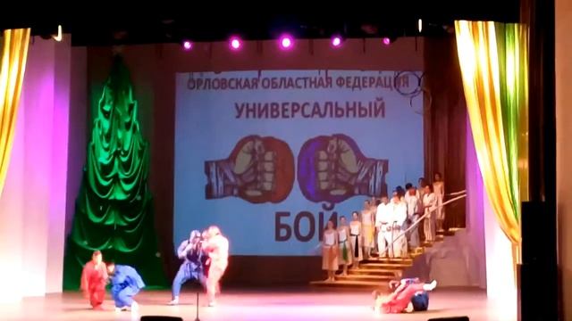 Показательное выступление воспитанников "Спортивной федерации "Универсальный бой" Орловской области смотреть онлайн