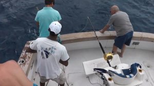 Охота на акулу  Маврикий 2012