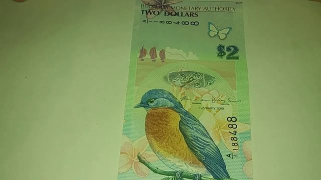 САМАЯ КРАСИВАЯ БАНКНОТА 2009 ГОДА !