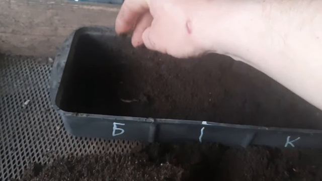 Как работают Биопрепараты. смотреть онлайн