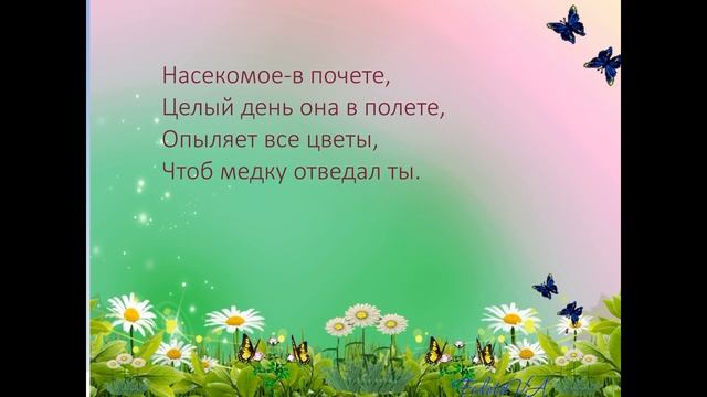 развитие речи насекомые