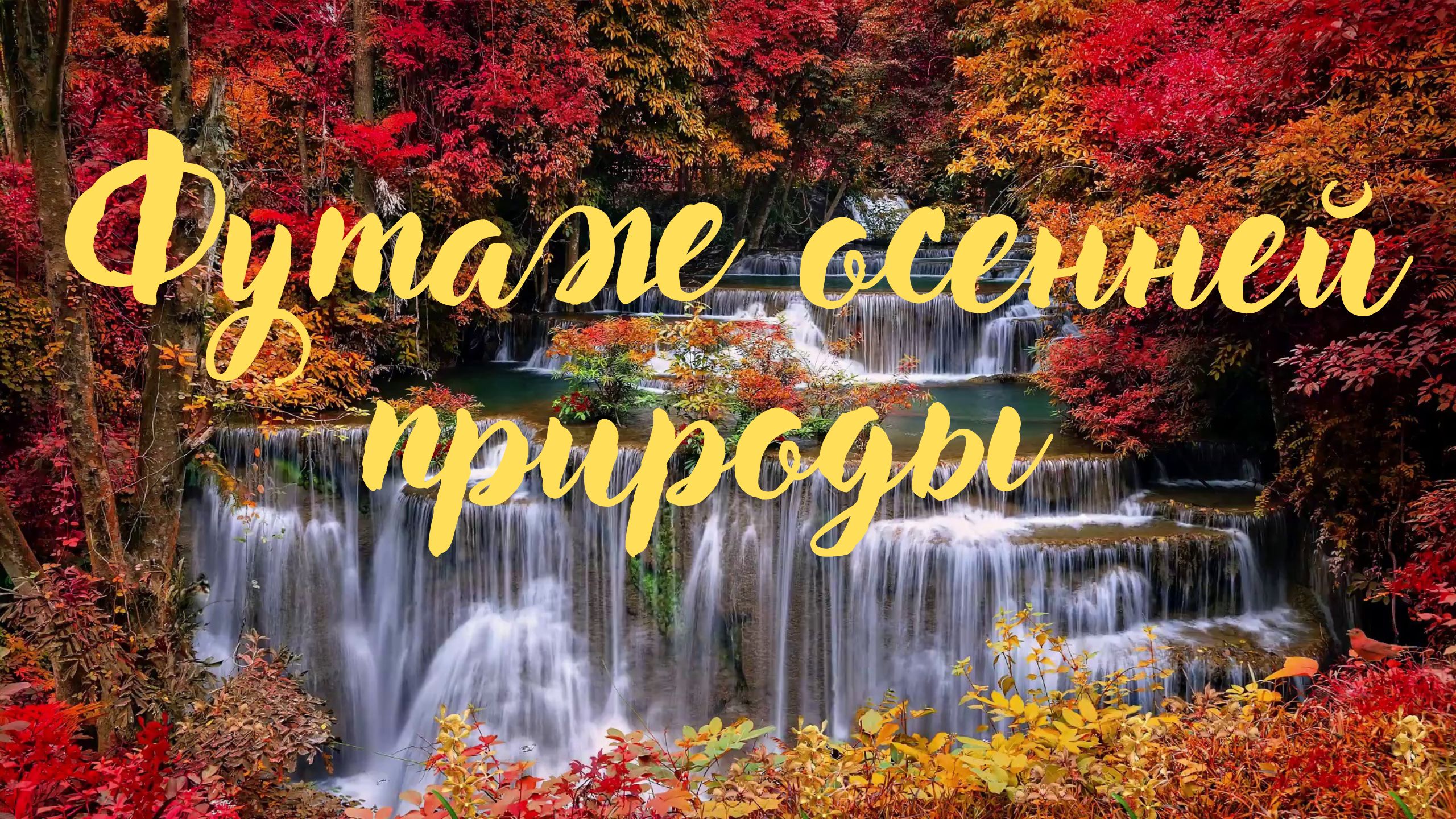 Осень. Футаж осенней природы. Спокойная, расслабляющая музыка.