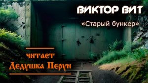 #Аудиокнига Ч.1 : Виктор Вит - Старый бункер