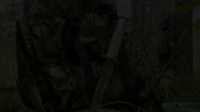 Экстремальный сбор грибов.