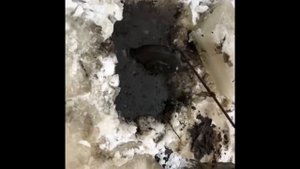 Раскопки в Ленинградской области 8