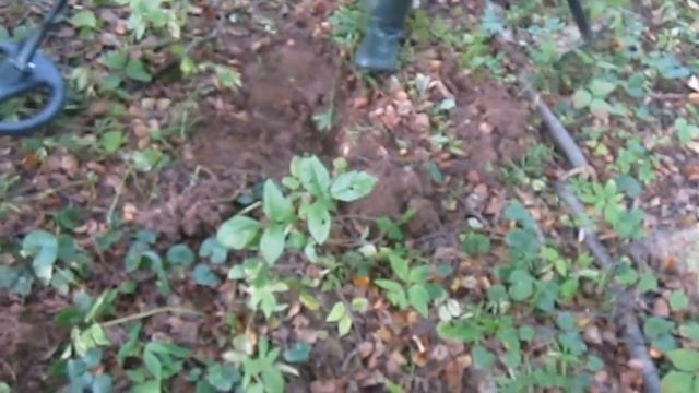 КЛААААДУХА!!!!!!!!!!!!!! Ан нет батенька,приколюха))) смотреть онлайн