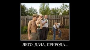 про дачу 3