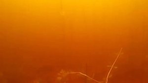 Подводная охота на озере Диво