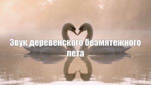 Деревня. Звук безмятежного лета в сельской местности