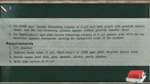 B.SC SEM-5 PRACTICAL-1 ISOLATION OF LAC-MUTANT PART-2