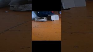 1000014315.mp4