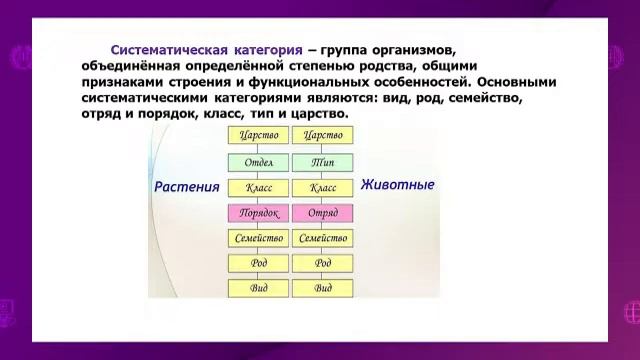 Биология. 7 класс. Основные систематические группы растений и животных /29.09.2020/