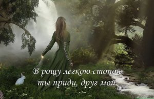 Ф.Шуберт - "Серенада", исп. Трио "Реликт"