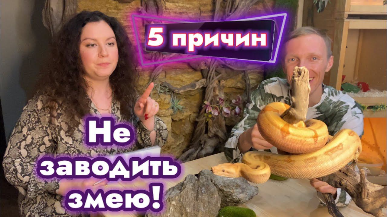 5 причин не заводить змею
