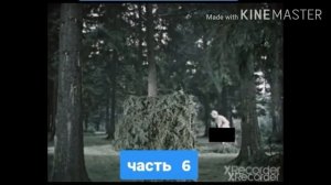 Пёс барбос и необычный кросс RYTP