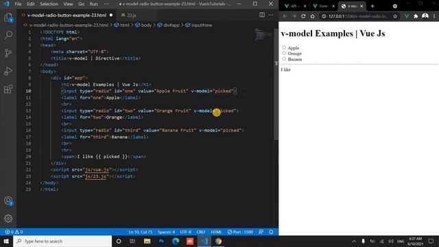 v-model Radio Button | Two Way Data Binding | VUE JS 2 [Arabic] #vue_js_2