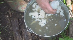 Чем подкормить клубнику и обработать от вредителей.